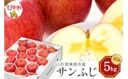 【令和7年産 先行予約】りんご サンふじ 5kg(秀品) 山形県 東根市 東根農産センター提供 hi027-206-1