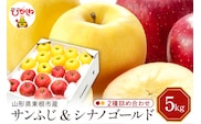 【令和7年産 先行予約】りんご サンふじ ＆シナノゴールド5kg(秀品) 山形県 東根市 東根農産センター提供 hi027-208-1