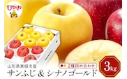 【令和7年産 先行予約】りんご サンふじ ＆シナノゴールド3kg(秀品) 山形県 東根市 東根農産センター提供 hi027-209-1
