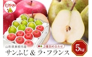 【2026年産】サンふじ&ラフランス 詰め合わせ 5kg 秀品 化粧箱入り 山形県 東根市 東根農産センター提供 hi027-211-r8