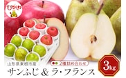 【2026年産】サンふじ&ラフランス 詰め合わせ 3kg 秀品 化粧箱入り 山形県 東根市 東根農産センター提供 hi027-210-r8