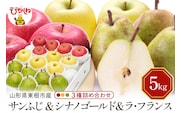 【2026年産】サンふじ&シナノゴールド＆ラフランス 詰め合わせ 5kg 秀品 化粧箱入り 山形県 東根市 東根農産センター提供 hi027-213-r8