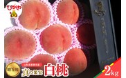 【2026年産】真の果実 贈答用 白桃2kg 松栗提供 山形県 東根市 hi062-055