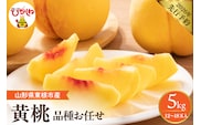 【2026年産先行予約】　採れたて黄桃(品種お任せ) 約5kg (12～18玉)晴天畑提供 山形県 東根市 hi026-058