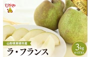 【2026年産先行予約】 フルーツの女王「ラ・フランス」 約3kg(8～11玉)山形県 東根市　hi026-059
