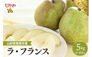 【2026年産先行予約】 フルーツの女王「ラ・フランス」 約5kg (14～18玉入) 山形県 東根市　hi026-060