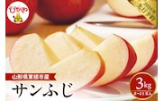 【2026年産先行予約】 太陽の恵みをいっぱいに浴びたりんご「サンふじ」 約3kg (8～11玉入) 山形県 東根市　hi026-061