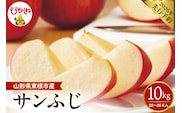 【2026年産先行予約】 太陽の恵みをいっぱいに浴びたりんご「サンふじ」 約10kg(28～36玉入) 山形県 東根市　hi026-063