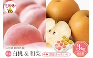 【2026年】東根市産 白桃（品種おまかせ）＆和梨 詰め合わせ 3kg 秀品 化粧箱入り 山形県 東根市 hi027-240