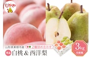 【2026年】東根市産 白桃（品種おまかせ）＆西洋梨 詰め合わせ 3kg 秀品 化粧箱入り 山形県 東根市 hi027-241