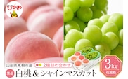 【2026年】 東根市産 白桃（品種おまかせ）秀品＆シャインマスカット詰め合わせ 化粧箱入り3kg 山形県 東根市 hi027-238
