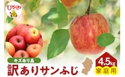 【令和7年産 先行予約】ご家庭用サンふじ満杯詰（約4.5kg) 山形県 東根市 東根農産センター提供 hi027-204-1