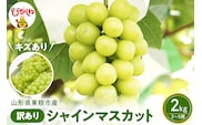 2026年ぶどう「訳ありシャインマスカット」2kg（3～5房）東根農産センター提供 山形県 東根市 hi027-235
