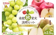 【2026年産 東根秋果実満喫セット】 サンふじ＆ラフ＆シャイン 約2.5kg 山形県 東根市 東根農産センター提供 hi027-202-r8