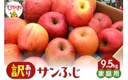 【2026年産】※訳あり※ サンふじ満杯詰(約9.5kg) 山形県 東根市 東根農産センター提供 hi027-204-r8