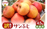 【2026年産】※訳あり※ サンふじ満杯詰(約4.5kg) 山形県 東根市 東根農産センター提供 hi027-203-r8