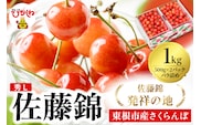 2026年 東根産さくらんぼ「佐藤錦」1kgバラ詰め(500g×2ﾊﾟｯｸ) 秀品 Lサイズ 東根農産センター提供 山形県 東根市 hi027-215