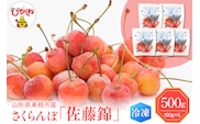 【瞬間冷凍】東根市産さくらんぼ 100g×5袋 東根農産センター提供 hi027-244