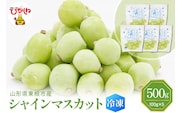 【瞬間冷凍】東根市産 シャインマスカット 100g×5袋 東根農産センター提供 hi027-245