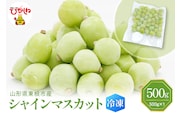 【瞬間冷凍】東根市産 シャインマスカット 大容量 500g 東根農産センター提供 hi027-246