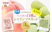 【瞬間冷凍】東根市産 カット済み 白桃＆シャインマスカット 大容量 各500g 東根農産センター提供 hi027-253