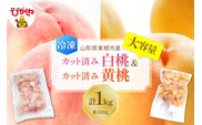 【瞬間冷凍】東根市産 カット済み 白桃＆黄桃 大容量 各500g 東根農産センター提供 hi027-254