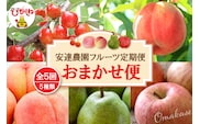 【2026年 5回定期便】安達農園フルーツ定期便 おまかせ便 安達農園提供 山形県 東根市 hi037-011