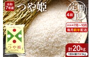 【2026年7月スタート】 特別栽培米 つや姫 5kg×4回(毎月 前半発送) 定期便 山形県 東根市 深瀬商店提供 hi053-066