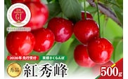 【2026年産　先行予約】紅秀峰 秀品 500g 山形県 東根市　hi062-052