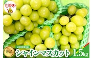 【2026年産】シャインマスカット 秀品 約1.5kg 山形県 東根市 松栗提供 hi062-065