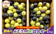 【2026年産】ぶどうMIX詰め合わせ 訳ありバラ 約1kg 山形県 東根市 松栗提供 hi062-067