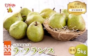 【令和8年産 先行予約】山形セレクション　ラ・フランス 5kg 山形県 東根市 鈴木農園提供 hi069-018