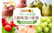 【2026年 先行予約 4回定期便】2026年 フルーツ王国 5種味覚の旅便 千笑花夢提供 山形県 東根市 hi082-043