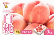 2026年産 白桃（柔らかめ） 3kg 秀品 山形県 東根市 hi082-049