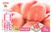 2026年産 白桃（柔らかめ） 5kg 秀品 山形県 東根市 hi082-050