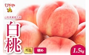 2026年産 白桃（硬め） 1.5kg 秀品 山形県 東根市 hi082-052