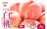 2026年産 白桃（硬め） 2kg 秀品 山形県 東根市 hi082-053