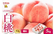 2026年産 白桃（硬め） 5kg 秀品 山形県 東根市 hi082-055