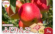 【2026年産】 ふじりんご 3kg（6-13玉） 秀品 山形県 東根市 千笑花夢提供 hi082-017-r8