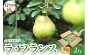 【2026年産】 ラ・フランス 2kg（4-9玉） 秀品 山形県 東根市 千笑花夢提供 hi082-020-r8