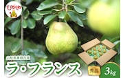 【2026年産】 ラ・フランス 3kg（6-13玉） 秀品 山形県 東根市 千笑花夢提供 hi082-021-r8