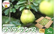 【2026年産】 ラ・フランス 5kg（8-25玉） 秀品 山形県 東根市 千笑花夢提供 hi082-022-r8