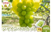 2026年産 シャインマスカット 600g(1房） 秀品 山形県 東根市　hi082-057