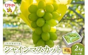 2026年産 シャインマスカット 2kg（2-5房） 秀品 山形県 東根市　hi082-059