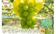 2026年産 シャインマスカット 5kg（5-10房） 秀品 山形県 東根市　hi082-060