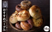 おすすめベーグル 14個セット 山形県 東根市 hi086-003