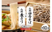 山形田舎そば＋麦きり 「10食セット」 山形県 東根市 神町食品提供 hi095-027