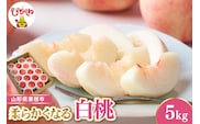 【令和8年産先行受付】 東根市産白桃　秀品 柔らかくなる桃 約5kg ベジフルひがしね 山形県 東根市 hi104-006