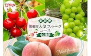 【2026年 3回 定期便】東根市人気フルーツコース さくらんぼ もも シャインマスカット山形県 東根市 hi999-048