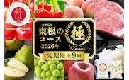 【2026年先行予約 9回 定期便】山形県 東根市産「極」コース さくらんぼ 桃 シャインマスカット りんご ラ・フランス お米 肉 hi999-038